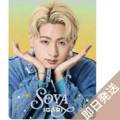 猪狩蒼弥　プロカ ジュニア　プロフィールカード