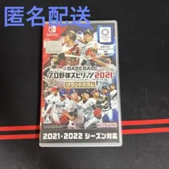 Nintendo Switch 『プロ野球スピリッツ2021 グランドスラム』