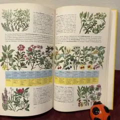 Item thumbnail for item 0e7a067f-1f6d-4816-bf36-27185b2e5e7c