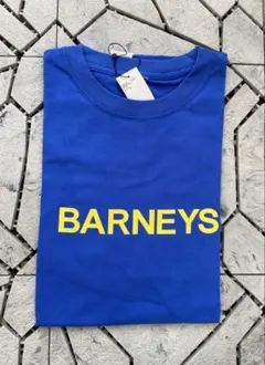 Item thumbnail for item 663f1284-d03d-47d1-b84d-76bcd95b8afb