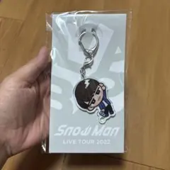 Snow Man LIVE TOUR 2022 アクリルキーホルダー 渡辺翔太