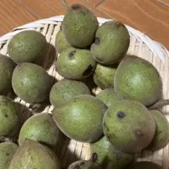 希少な❣️オニクルミ約850g 胡桃酒、胡桃塩漬クラフト・染色用.乾燥後食用可能