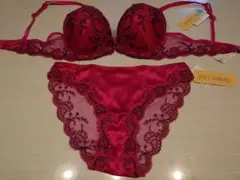 LISE CHARMEL リズシャルメル ブラ ショーツ セット 新品のサムネイル