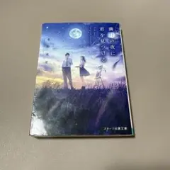 満月の夜に君を見つける