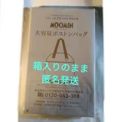 大人のおしゃれ手帖9月号付録 MOOMIN 大容量 ボストンバッグ