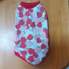 SS冷感ポリエステルペット用 いちご柄 ウェア2