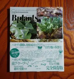ビザールプランツ 冬型 珍奇植物最新情報