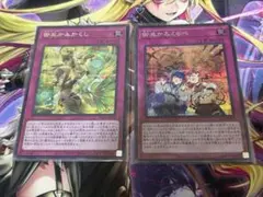 遊戯王　みかんこ　シークレット