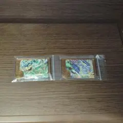 ポケモンフレンダレガシーピックオーガポンミライドン