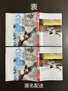 ヤングジャンプ 付録 ウマ娘 シンデレラグレイ 別バージョンカバー 2点セット