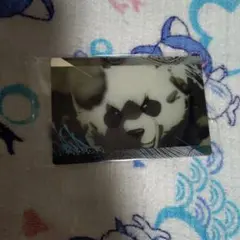 呪術廻戦 ウエハース 特別弾 パンダ