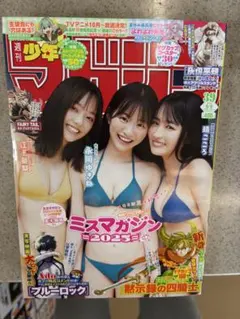 【切り抜きなし】少年マガジン39