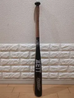 Item thumbnail for item f5b9d118-62ed-4cbe-8787-4e8152cafec0