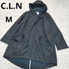 Item thumbnail for item 7389ab7d-1c50-42c3-b22e-7b19c8c0c6de