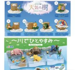 2026年最新】ポケモンデラックスフィギュアコレクションの人気アイテム
