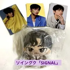 新品未開封 ソイングク ちびぬいキーホルダー 2025 SIGNAL 公式グッズ
