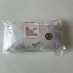 Item thumbnail for item 2c6cab99-d72d-4d73-9158-dadf27f1920a