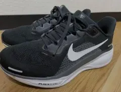 NIKE AIR ZOOM PEGASUS41 ナイキ エアズームペガサス 黒