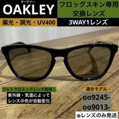 ⭐️OAKLEY⭐️偏光・調光⭐️交換レンズ⭐️ライトグレー↔︎ブラック⭐️フロッグスキン用