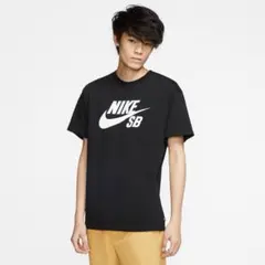 NIKE SB スケートボード Tシャツ ジョーダン ACG トレイルのサムネイル