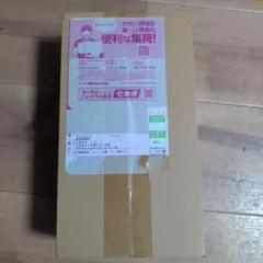 し*う様 【新品・未開封】ポケモンMEGAドリームex BOX ニャオハ