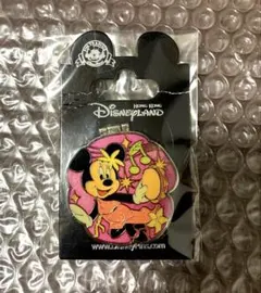 ディズニー　ピンバッジ ピンバッチ　香港ディズニーランド　ミニー