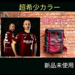 【激レア限定カラー】THE NORTH FACE fusebox 30L 超希少