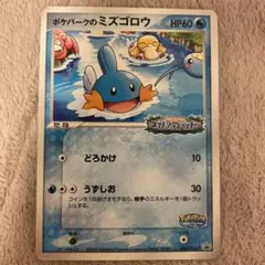 【極美品】ポケパークのミズゴロウ 048 プロモカードのサムネイル