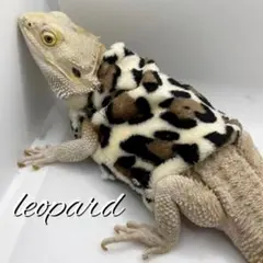 Item thumbnail for item 8fb45765-bac3-4873-9220-09ebf08f9fe4