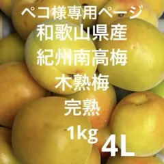 和歌山県産 紀州南高梅 木熟梅 4Lサイズ1kgのサムネイル
