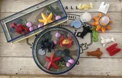 プレイモービル PLAYMOBIL 磯の生き物観察コーナーとお土産