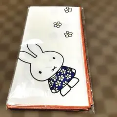 Item thumbnail for item be16c2cb-45a6-46f9-9e9f-187fdd0c6a4b