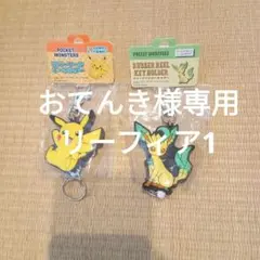 おてんき様専用　リーフィア