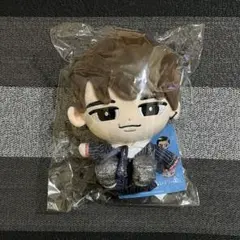 新品未開封 Snow Man 渡辺翔太　すのチル BIGぬいぐるみ