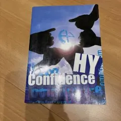 HY Confidence ギター