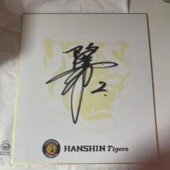2025年最新】阪神 梅野 サインの人気アイテム - メルカリ