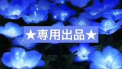 ★専用出品★ 該当の方以外の購入NG！