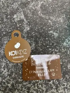 KO1KEYZ コイキーズ シンヘン ステッカー メッセージカード トレカ