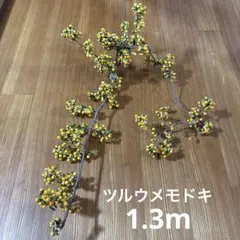 ツルウメモドキ ドライフラワー リース素材 沢山の実付き　1.3m以上