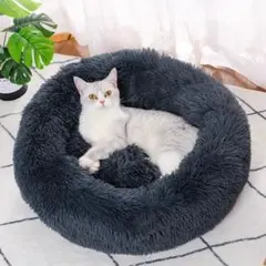 Item thumbnail for item 3a1b9546-e162-4824-bc54-fa53194bcd50