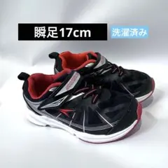 Item thumbnail for item 9a8ee14d-bcac-4222-9c54-1c7753aeff41