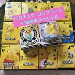 ポケモンキッズ　ピカチュウピカピカ大集合 12体コンプセット　30周年スペシャル