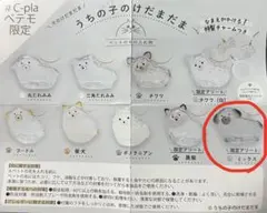 うちの子のけだまだま　犬　限定アソート「ミックス」