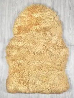 Item thumbnail for item 91273053-6da3-4927-82a9-e3d51f5c8a6d