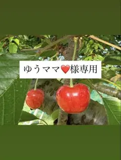 ゆうママ様専用