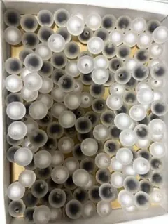 ゆぅ様 リクエスト 3点 まとめ商品