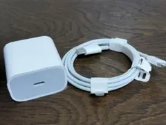 純正 充電ケーブル