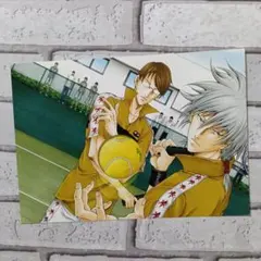 テニスの王子様 テニプリ おてみゅ 大判 ポストカード 仁王 柳生 　緑