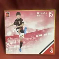 浦和レッズレディース 記念グッズ
