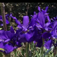 やまちゃん様 リクエスト 2点 まとめ商品